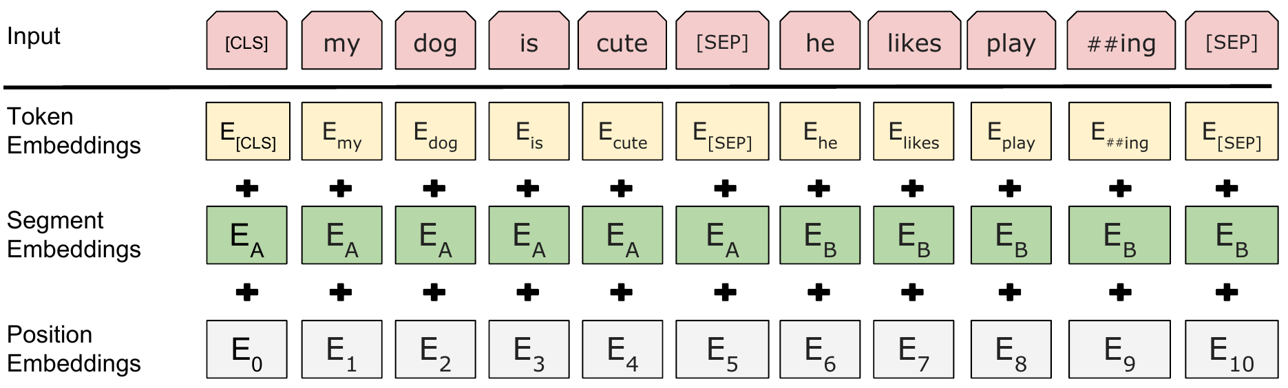 BERT Input Embeddings